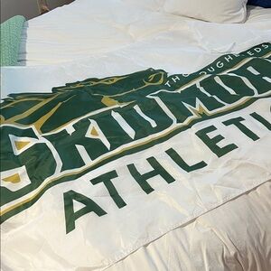 Skidmore College banner/flag